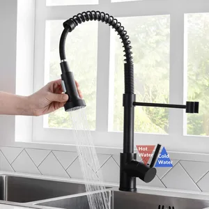 Matte Black Spring Pull-Down Kitchen Faucet Sprayer – photo 2