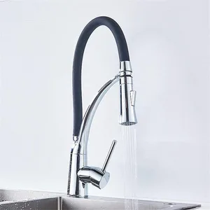 Pull-Down Kitchen Faucet with Flexible Black Spout, Chrome