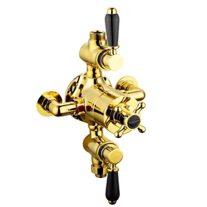 Traditional Gold Exposed Shower Valve with Black Lever and Cross Handle – photo 2