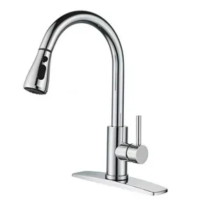 Chrome Pull-Down Kitchen Faucet with Deck Plate